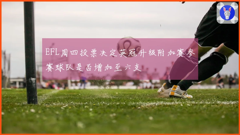 EFL周四投票决定英冠升级附加赛参赛球队是否增加至六支