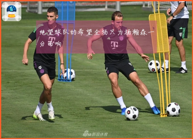 绝望球队的希望全场只为杨瀚森一分而响
